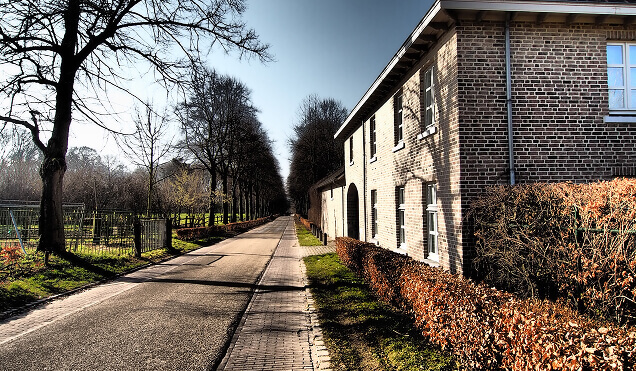 Driveway Replacement